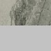 Arabescato lucido - corsie grigio
